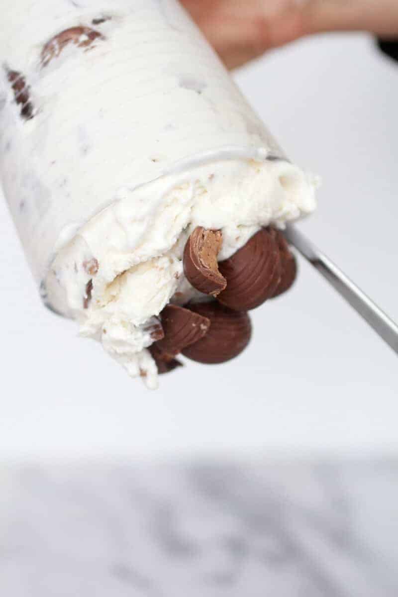 Homemade DQ Reese's Peanut Butter Cup Blizzard-10