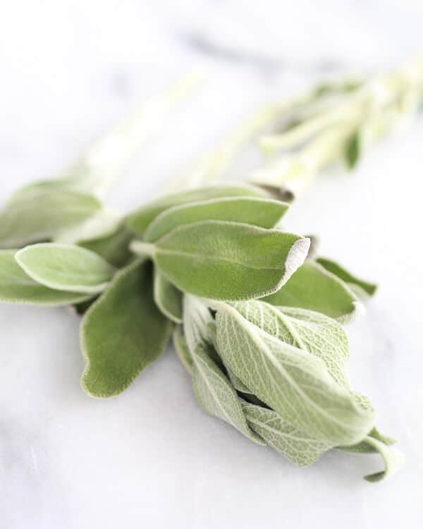 Things I am going crazy for this week 