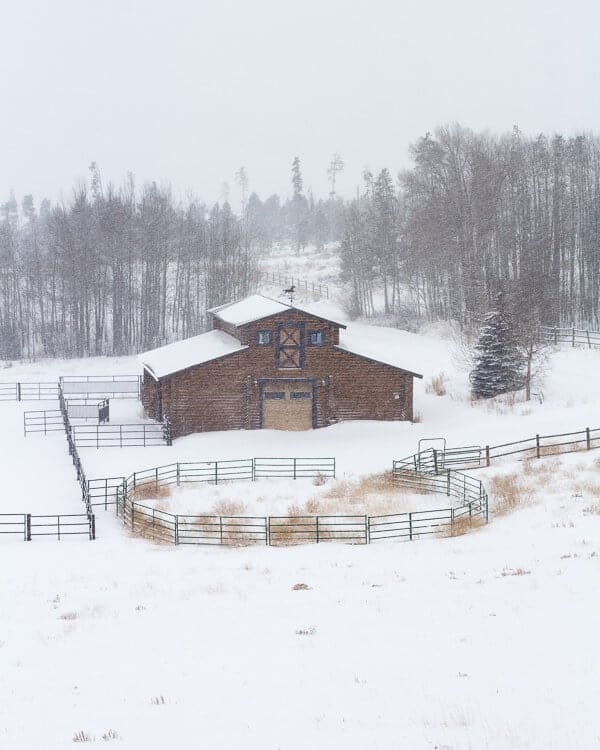 A Month's Worth Of Healthier Football Food + Life Talk | halfbakedharvest.com