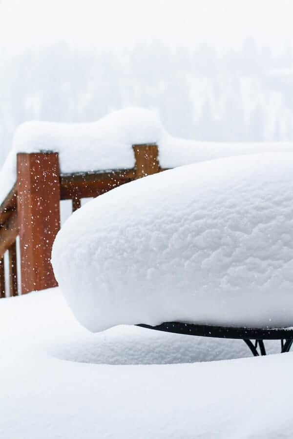 Snow | halfbakedharvest.com