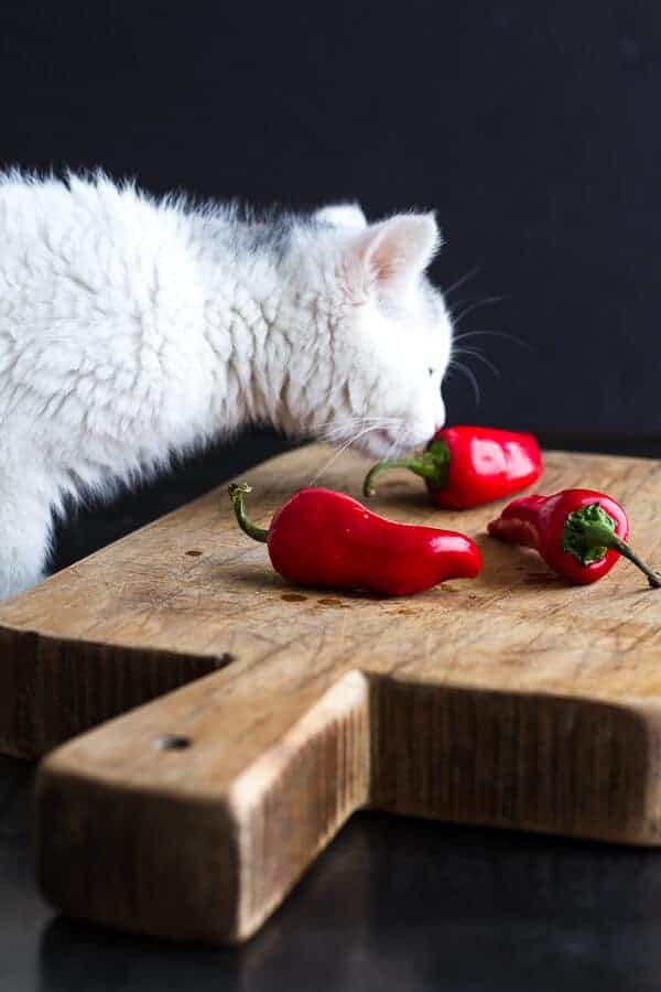 Chaos ‘n’ Sprinkles | halfbakedharvest.com