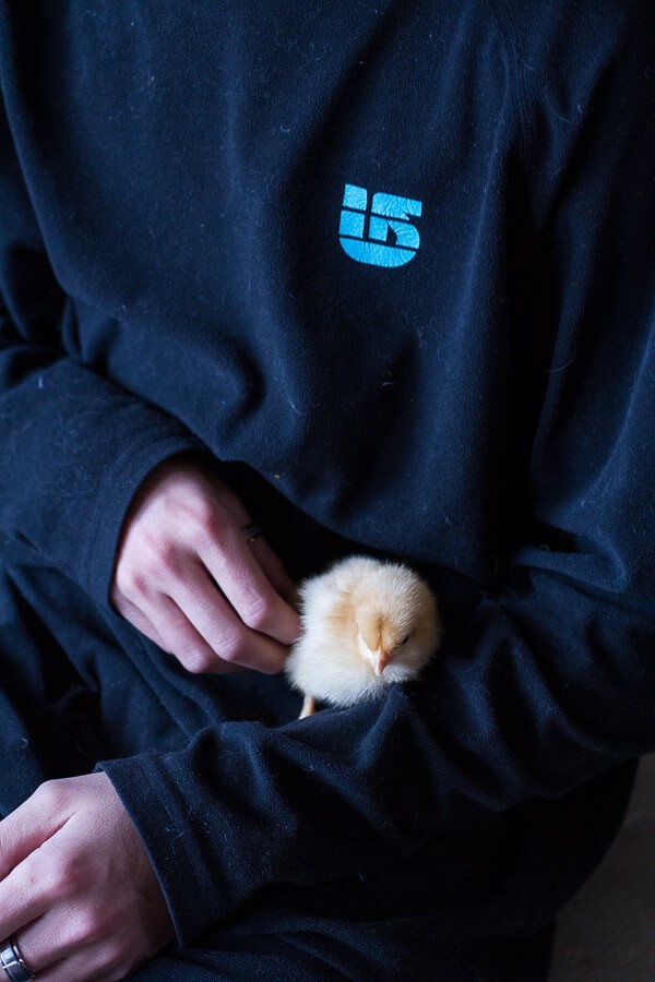 Chaos 'n' Sprinkles | halfbakedharvest.com