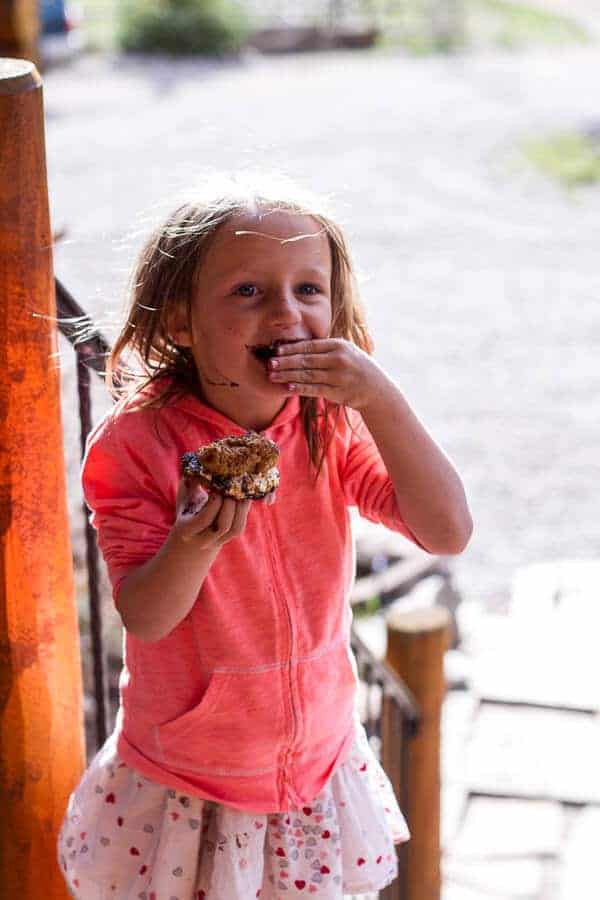 Oatmeal Chocolate Chip + Graham Cracker Cookie S'mores. -50