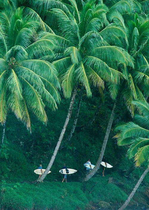 tumblr_mwvfgyDsAJ1s79rl8o1_500