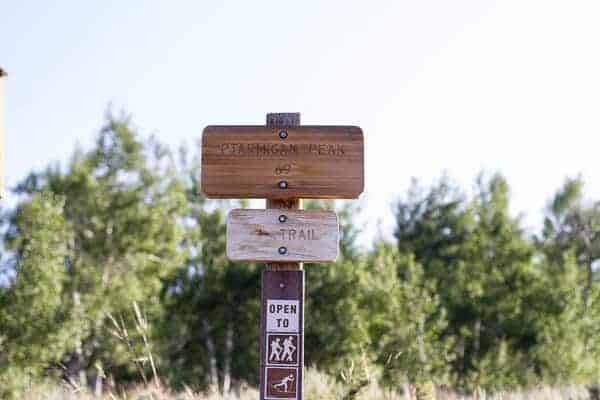 Let's Go on Mid Summer Hike Together | halfbakedharvest.com