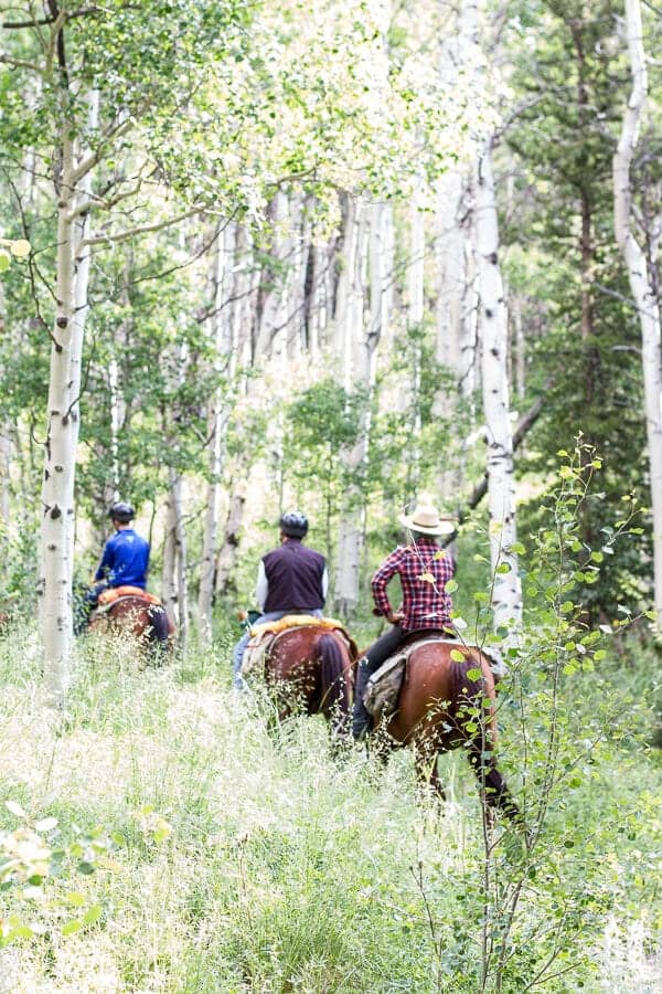 Let's Go on Mid Summer Hike Together | halfbakedharvest.com