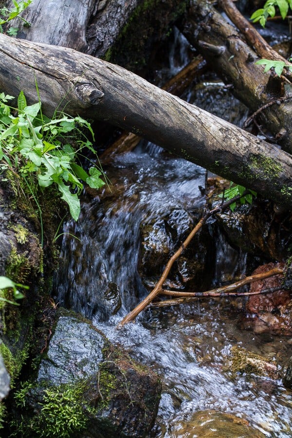 Let's Go on Mid Summer Hike Together | halfbakedharvest.com