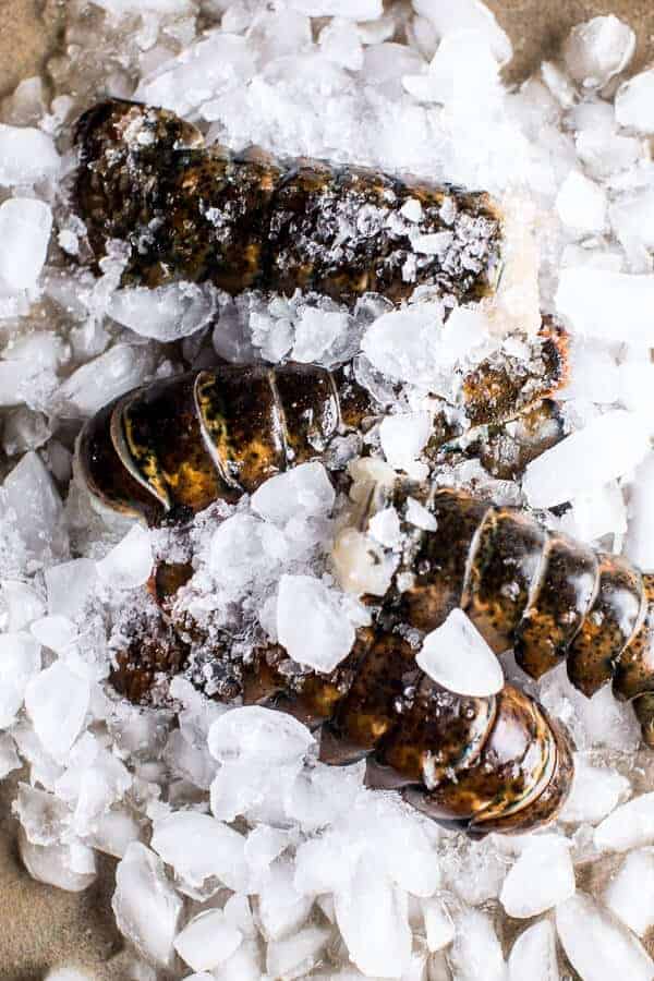 Idiot Proof Creamy Tomato and Curry Butter Lobster Pasta | halfbakedharvest.com @hbharvest