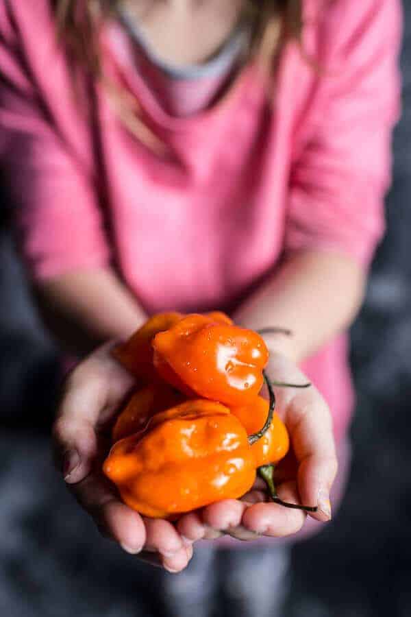 Buttermilk Chicken Biscuit with Habanero Peach Hot Sauce + Honey Butter | halfbakedharvest.com @hbharvest