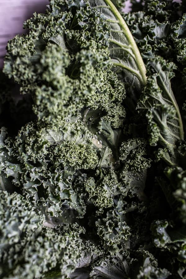 Brown Butter Lobster, Sweet Corn and Fontina Risotto | halfbakedharvest.com @hbharvest