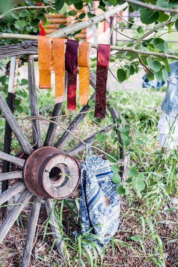Fruit Roll Ups…for Back to School | halfbakedharvest.com @hbharvest