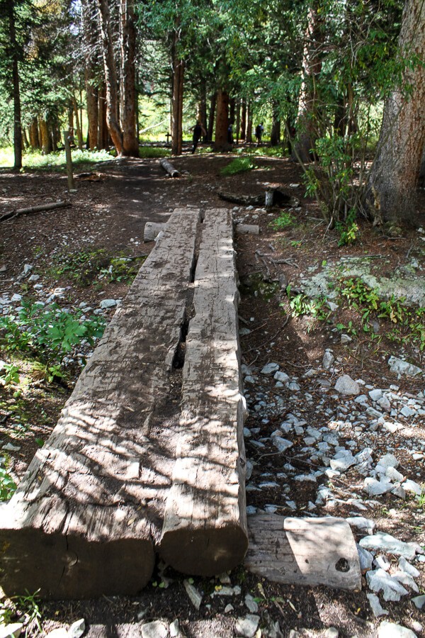 Fall Harvest Peanut Picnic + a Family Hike! | halfbakedharvest.com @hbharvest