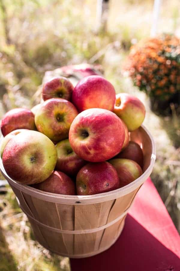 Fall Harvest Peanut Picnic + a Family Hike! | halfbakedharvest.com @hbharvest