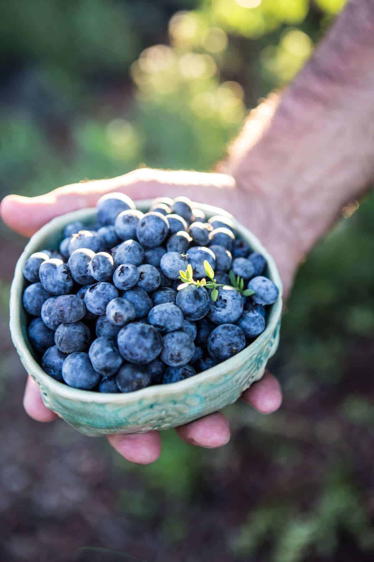 Creamy Coconut Almond Breakfast Pops | halfbakedharvest.com @hbharvest