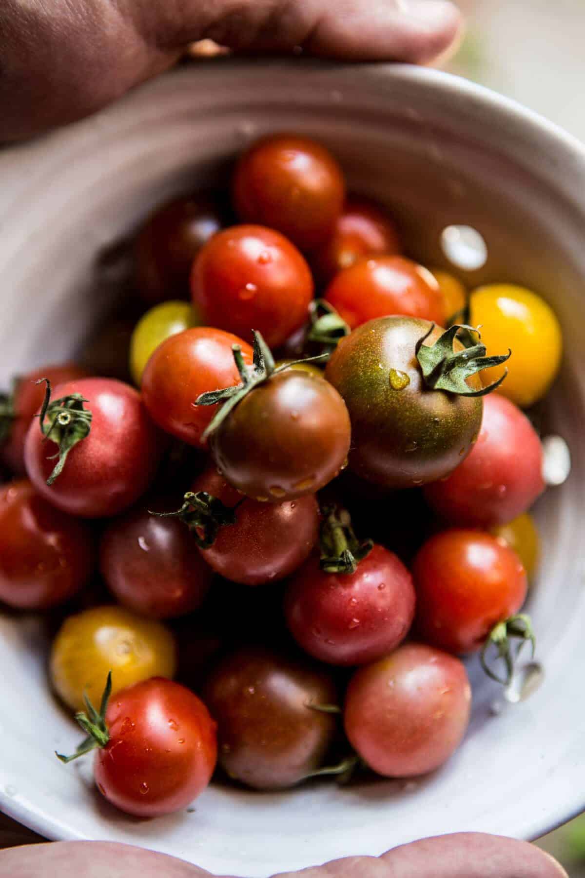 Mediterranean Chicken and Summer Squash Noodles with Fried Halloumi | halfbakedharvest.com @hbharvest