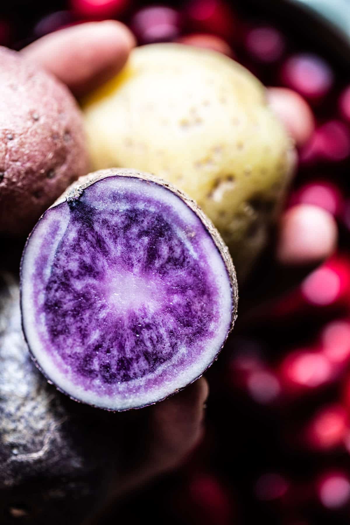 Skillet Cranberry Roasted Chicken and Potatoes | halfbakedharvest.com @hbharvest
