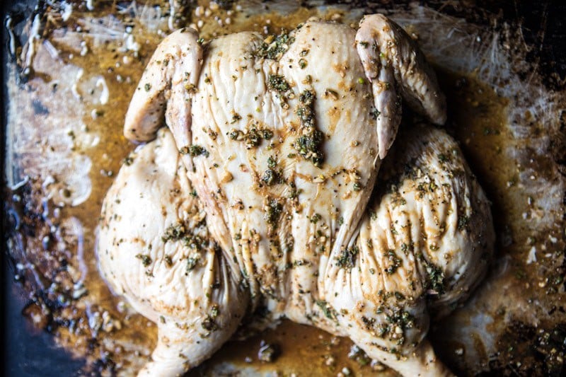 Lemon and Oregano Grilled Chicken | halfbakedharvest.com @hbharvest