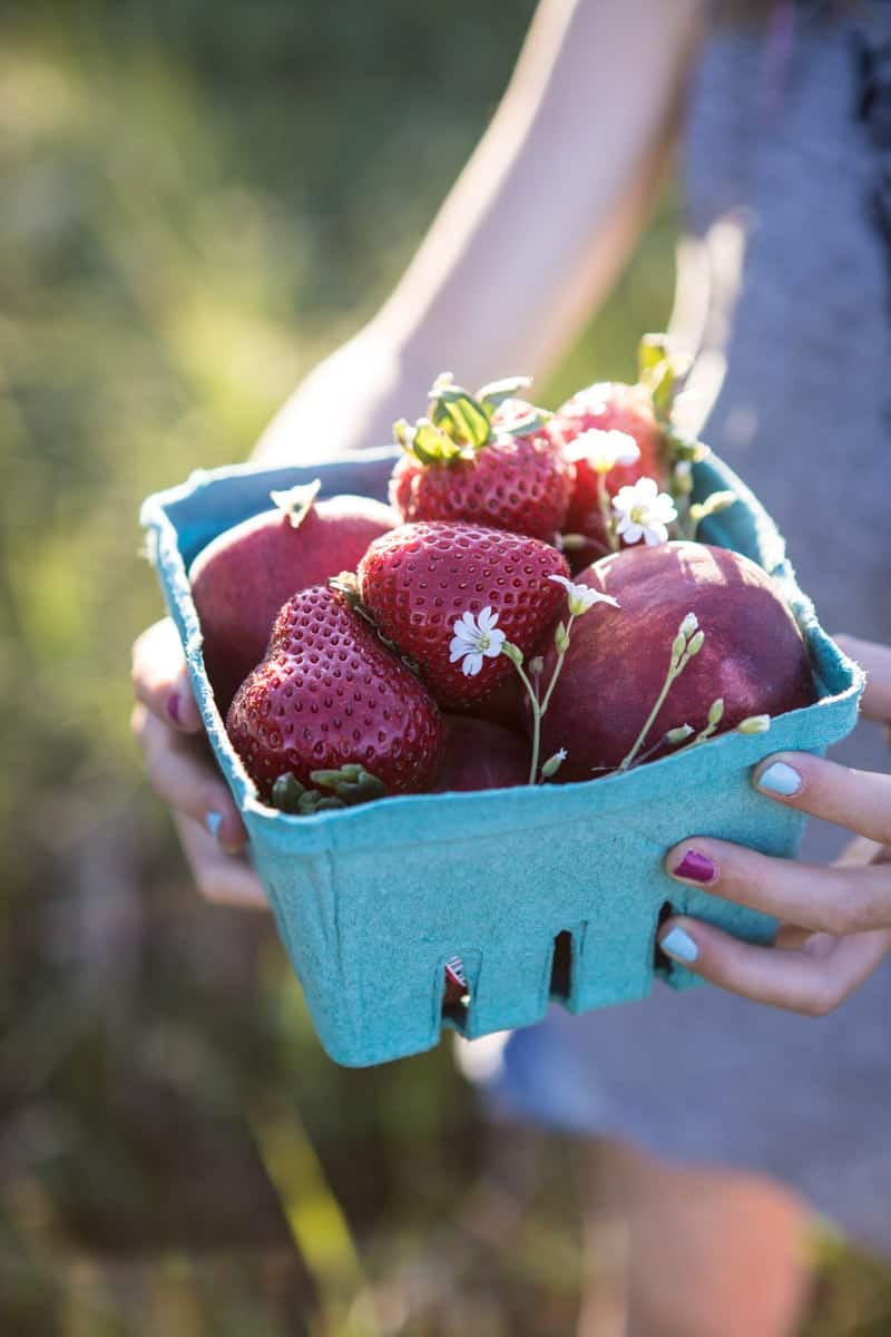 Nine Favorite Things 9 | halfbakedharvest.com @hbharvest