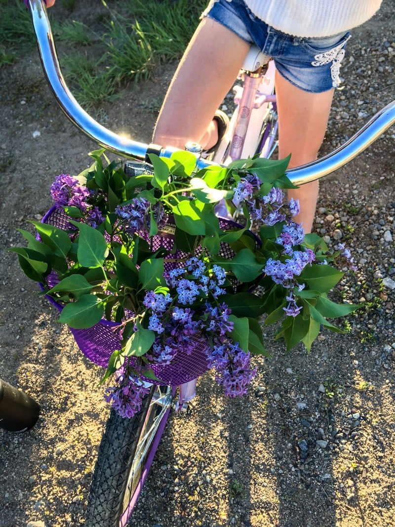 Nine Favorite Things 9 | halfbakedharvest.com @hbharvest