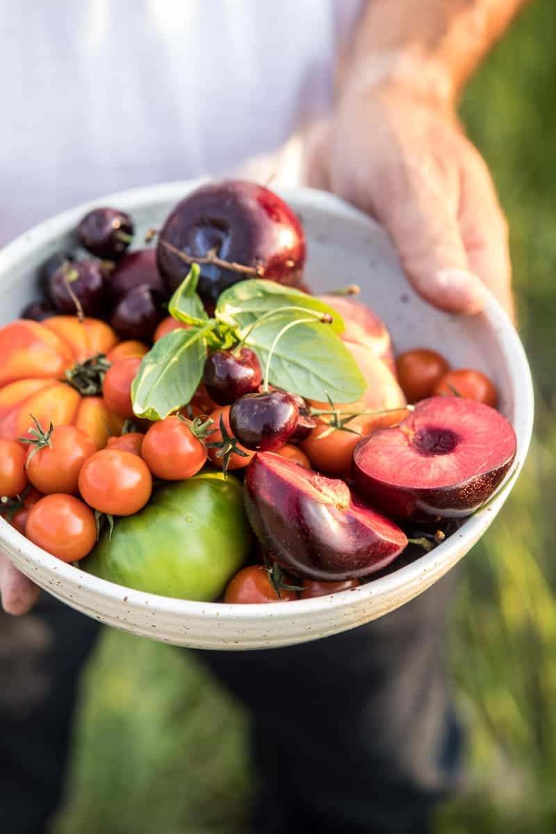 Tuscan Summer Stone Fruit, Tomato, and Burrata Panzanella Salad | halfbakedharvest.com @hbharvest