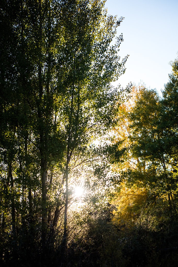 Half Baked Harvest Cookbook: Colorado Retreat Giveaway! halfbakedharvest.com @hbharvest