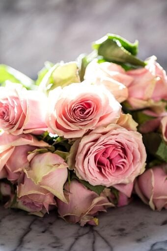 Nine Favorite Things | halfbakedharvest.com @hbharvest