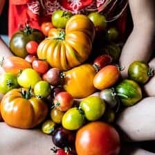 Nine Favorite Things | halfbakedharvest.com @hbharvest