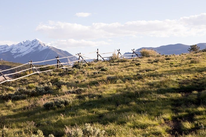 The New HBH Studio Barn | halfbakedharvest.com @hbharvest