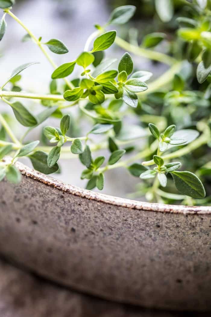 Herby Buttered Wild Mushroom Tagliatelle Pasta | halfbakedharvest.com @hbharvest
