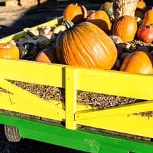 Nine Favorite Things | halfbakedharvest.com @hbharvest