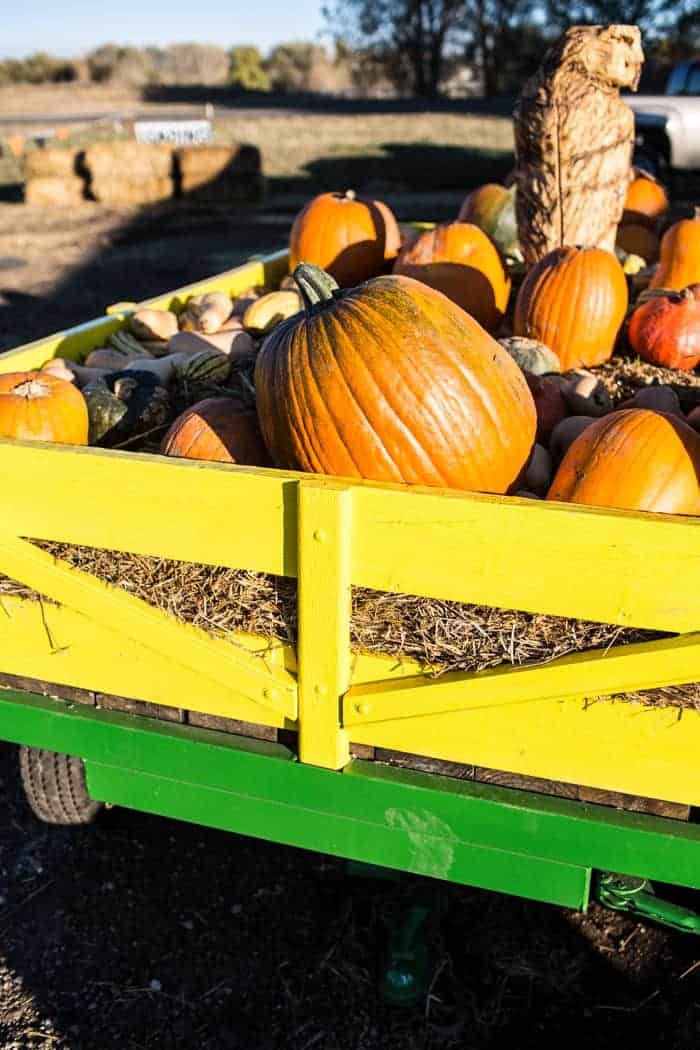 Nine Favorite Things | halfbakedharvest.com @hbharvest