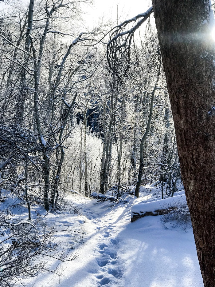 Nine Favorite Things | halfbakedharvest.com @hbharvest