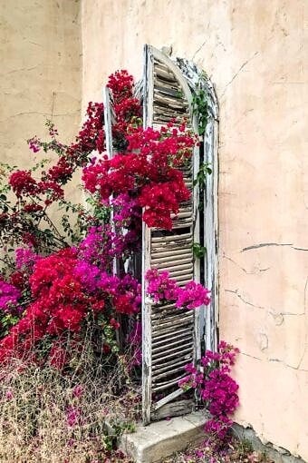 Nine Favorite Things | halfbakedharvest.com