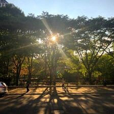 Nine Favorite Things | halfbakedharvest.com