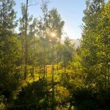 Nine Favorite Things | halfbakedharvest.com