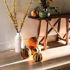 Nine Favorite Things | halfbakedharvest.com