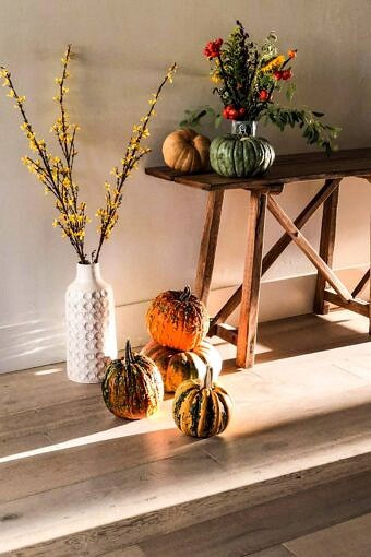 Nine Favorite Things | halfbakedharvest.com