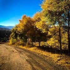 Nine Favorite Things | halfbakedharvest.com