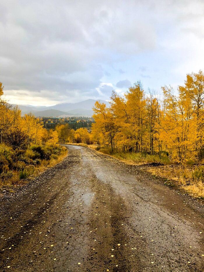 Nine Favorite Things | halfbakedharvest.com