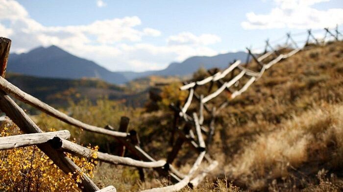 Friendsgiving 2018 with Anthropologie | halfbakedharvest.com #home #thanksgiving #anthrohome