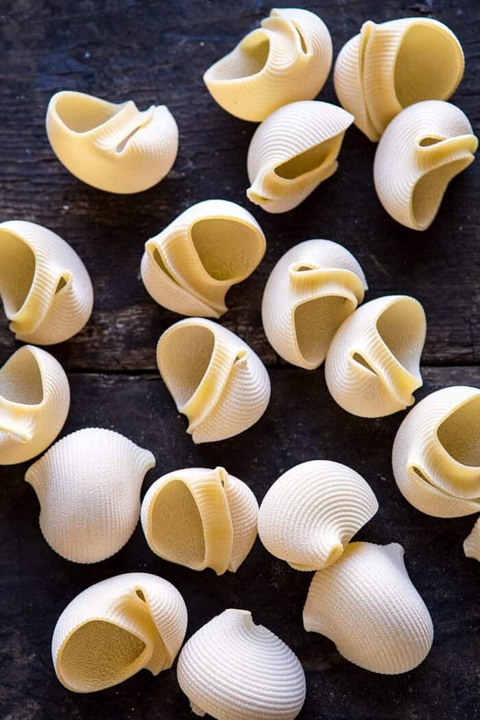 pasta shells
