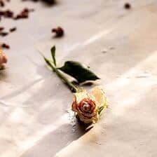 Nine Favorite Things | halfbakedharvest.com