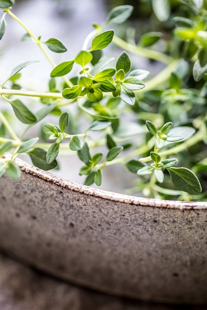 Garden Herb Shrimp Scampi Linguine | halfbakedharvest.com #pasta #shrimp #easyrecipes #summerrecipes fresh thyme in bowl Garden Herb Shrimp Scampi Linguine