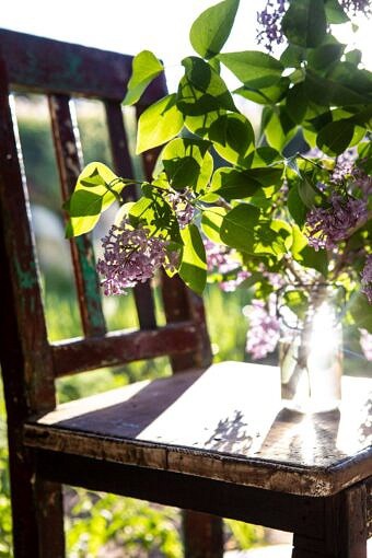 Nine Favorite Things | halfbakedharvest.com