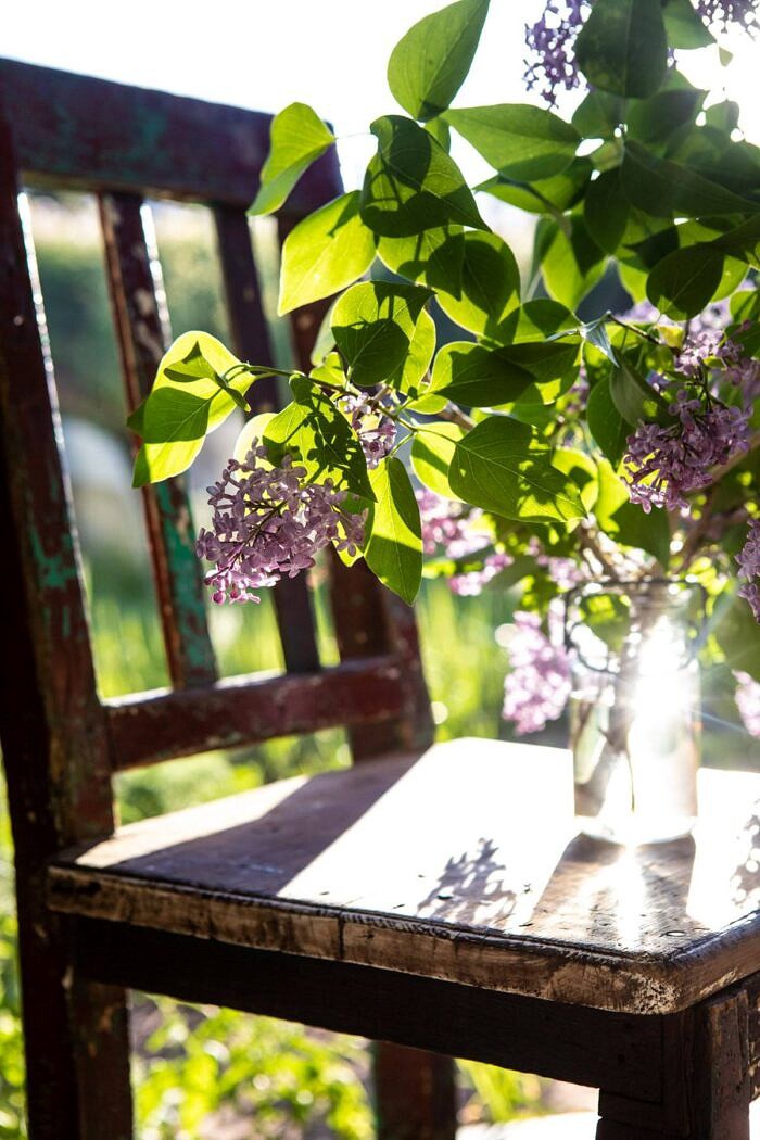 Nine Favorite Things | halfbakedharvest.com