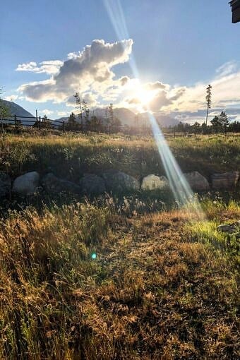 Nine Favorite Things | halfbakedharvest.com