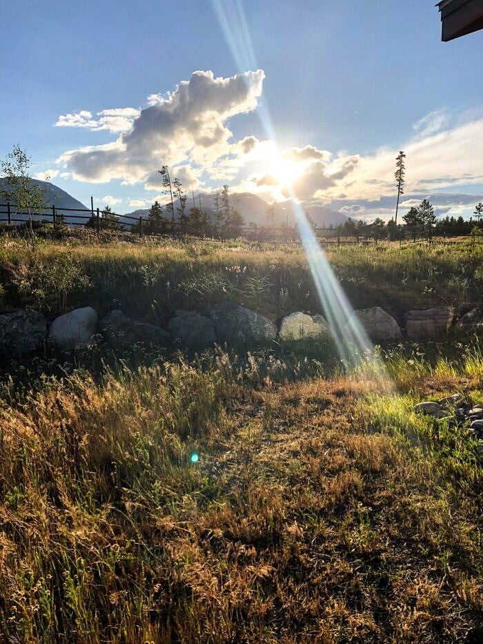 Nine Favorite Things | halfbakedharvest.com