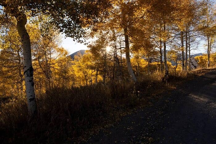 Nine Favorite Things | halfbakedharvest.com