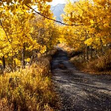 Nine Favorite Things | halfbakedharvest.com