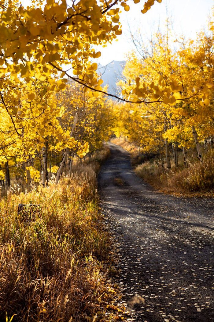 Nine Favorite Things | halfbakedharvest.com Nine Favorite Things | halfbakedharvest.com